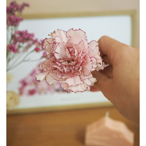 Octobre Rose : un tableau herbier unique mis en vente aux enchères